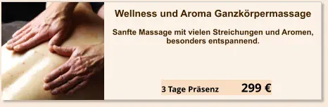 Angebot Einzel Seminar Wellness und Aroma Ganzkörper Massage