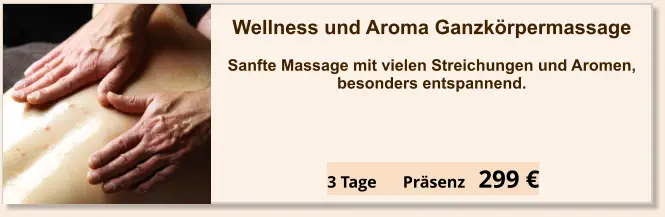 Angebot Einzel Seminar Wellness und Aroma Ganzkörper Massage